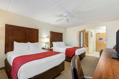 Comfort Inn Kissimmee image 10