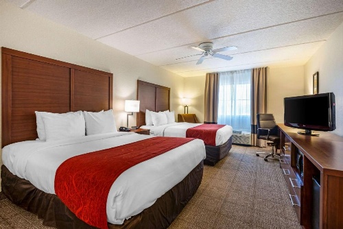 Comfort Inn Kissimmee image 16