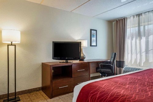 Comfort Inn Kissimmee image 22