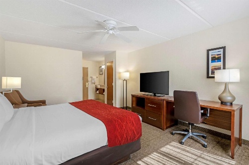 Comfort Inn Kissimmee image 3