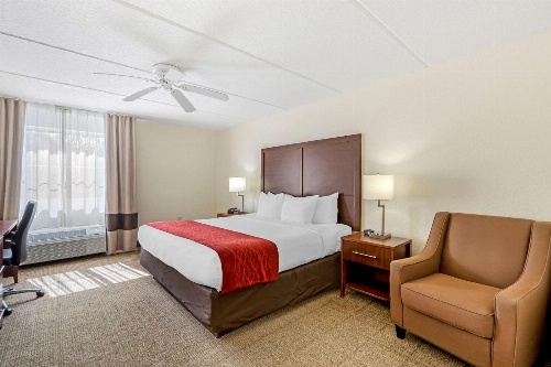 Comfort Inn Kissimmee image 4