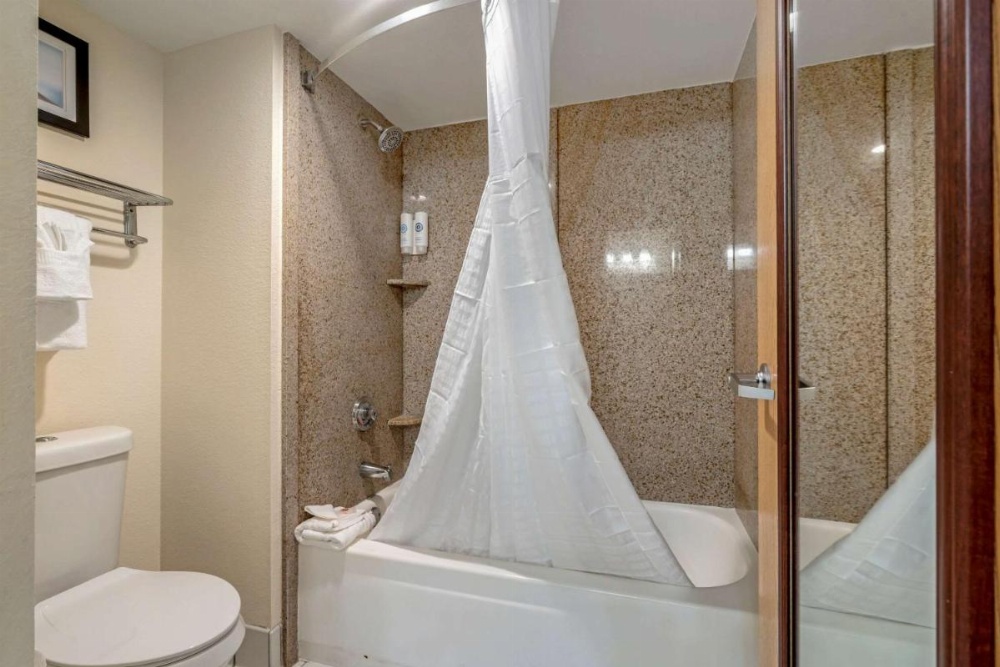 Comfort Inn Kissimmee Image 41