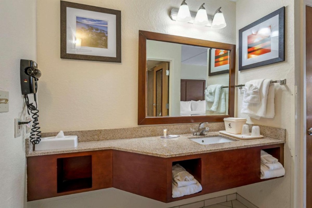 Comfort Inn Kissimmee Image 44