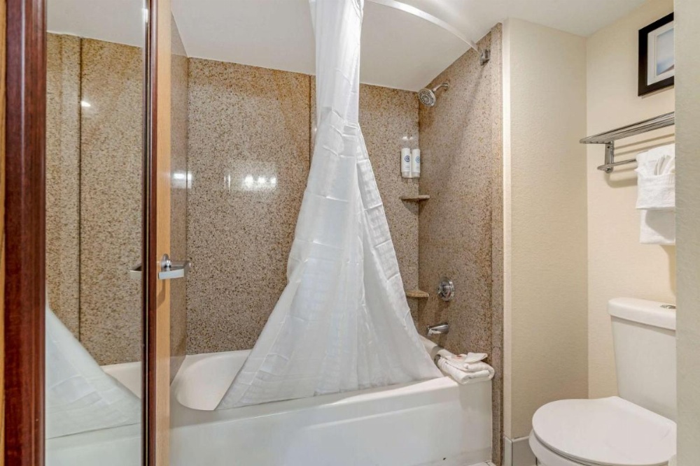 Comfort Inn Kissimmee Image 45