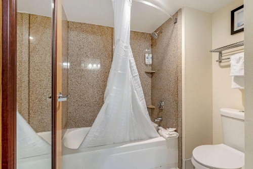 Comfort Inn Kissimmee image 45