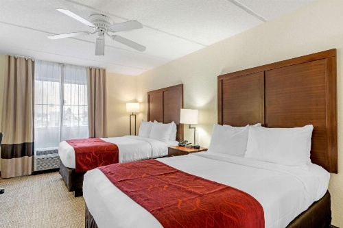 Comfort Inn Kissimmee image 8